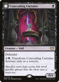 101-concealingcurtainsrevealingeye-a
