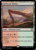 1032-shelteredthicket