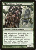 133-wolfbittencaptivekrallenhordekiller-a