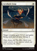 151-acrobaticleap