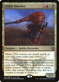 164-ankleshanker