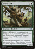 172-scurryoak
