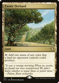 173-exoticorchard