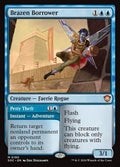 190-brazenborrowerpettytheft-a