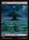 289-swamp