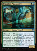 324-quandrixapprentice