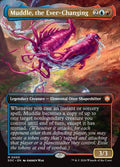 5-muddletheeverchanging
