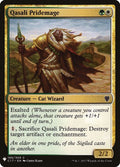 c17-189-qasalipridemage