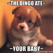 The dingo ate the baby
